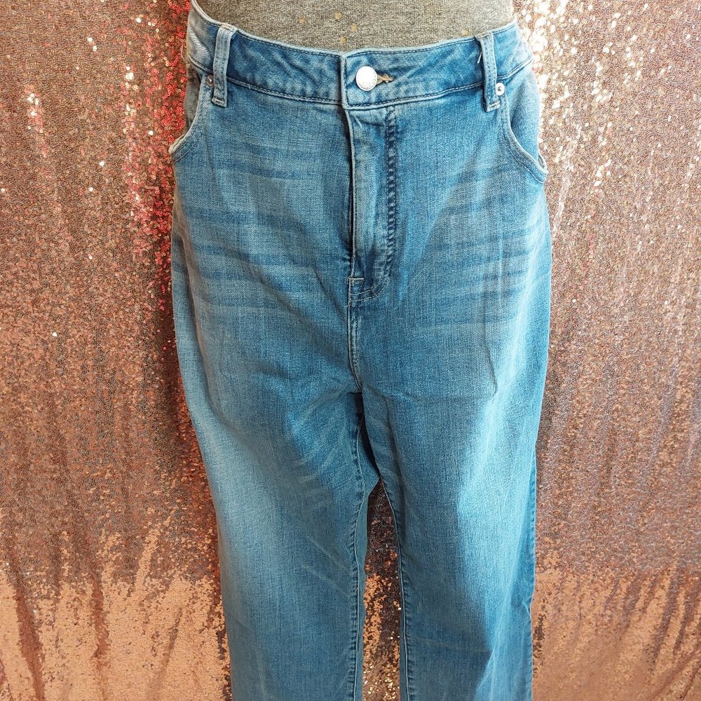 Lucky Brand Women's Plus Size Hayden Straight High Rise Slim Fit Denim Jeans 24W